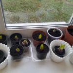 630665997 1822444625135183 3730190214262605333 n