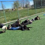 678390427 1518748353378868 6549437574241625936 n